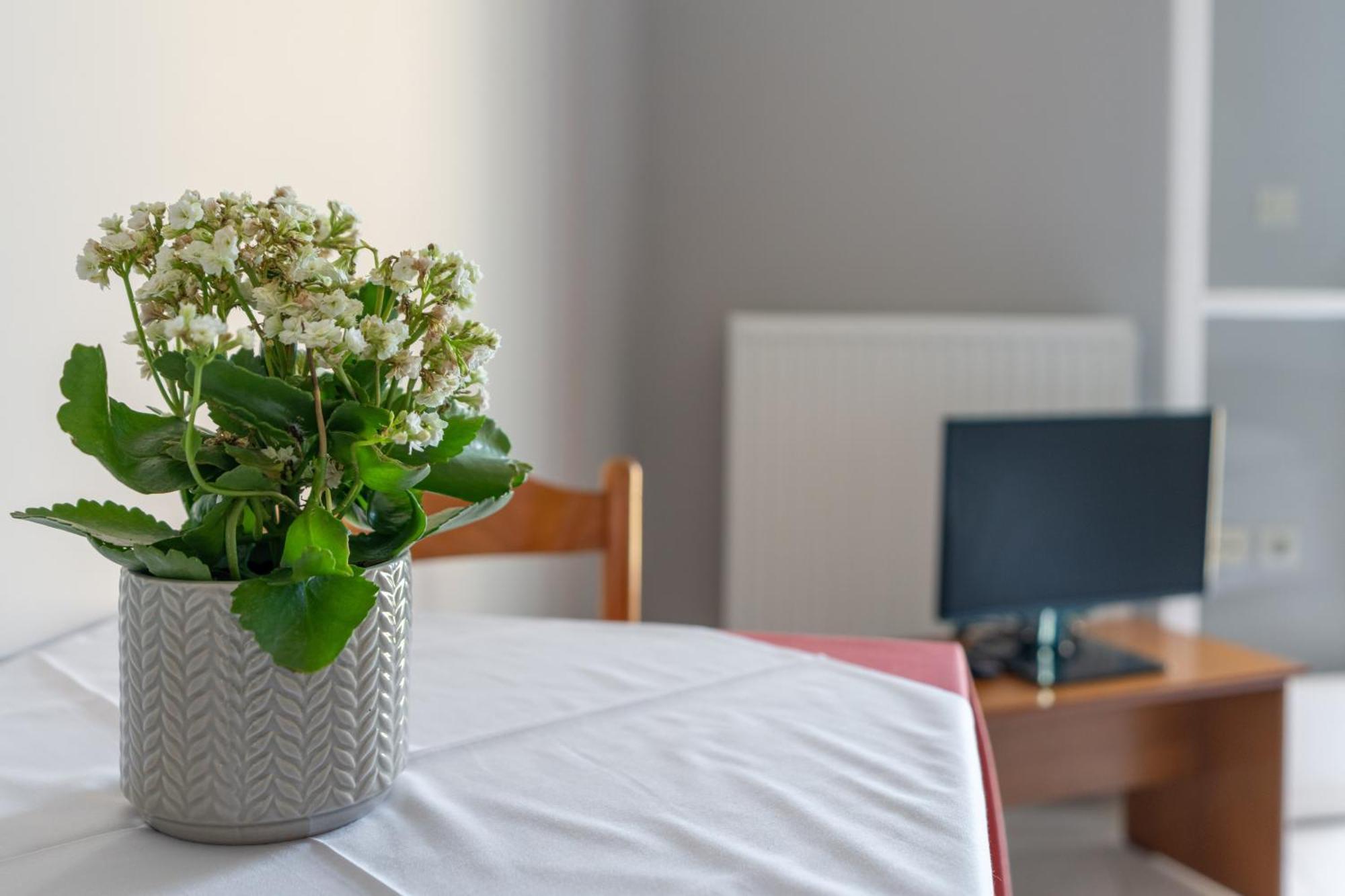 Ammousa Hotel Apartments Lixouri Luaran gambar